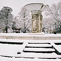 White Dupont